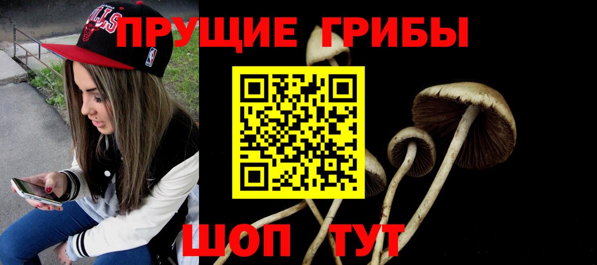 Вичуга  купить наркотики сайты  Вход с VPN  Псилоцибиновые грибы мицелий  Галлюциногенные грибы Magic Shrooms 